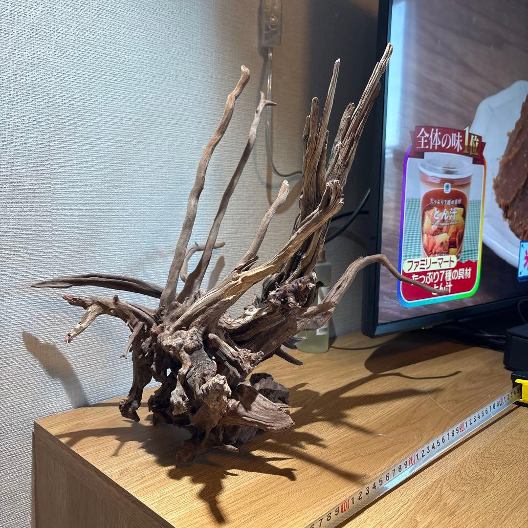 【早い者勝ち】 ADA流木 3本（まとめ買い500円引）