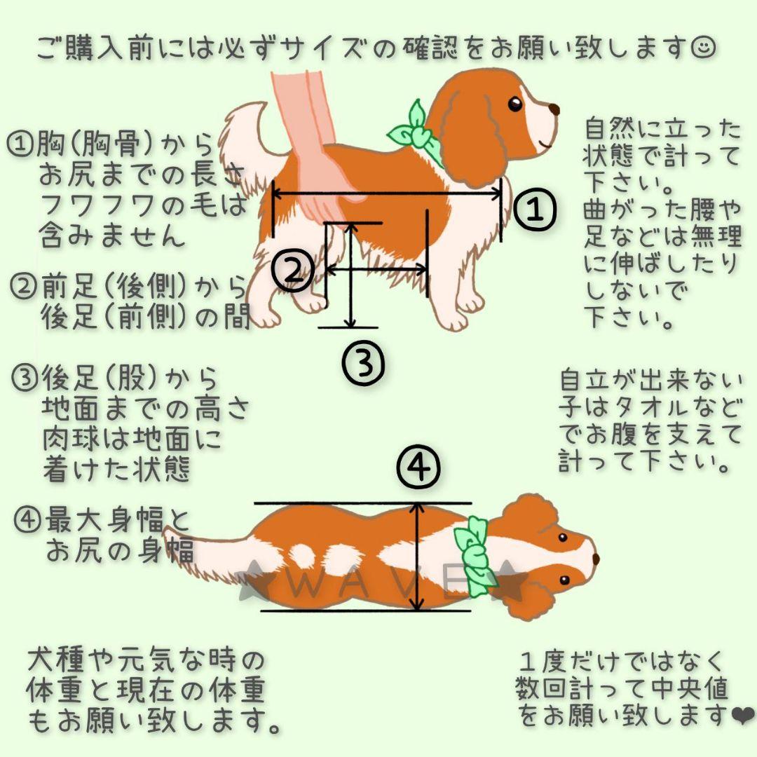 まろん2020　犬用車椅子　犬の歩行器　歩行サポート　犬の車いす　小型犬