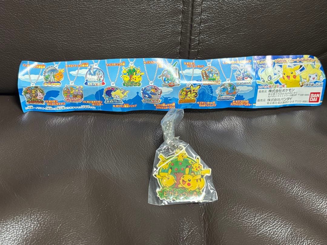 希少　激レア　ポケパーク　ピカチュウの森　メタルプレートキーチェーン　ポケモン