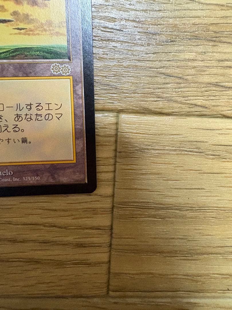 セラの聖域　日本語版