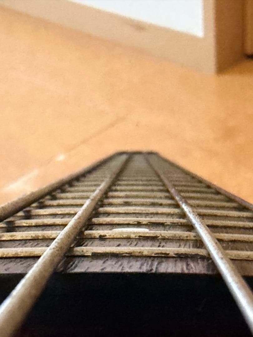 E*z様 Epiphone Thunderbird IV エピフォン エレキベー