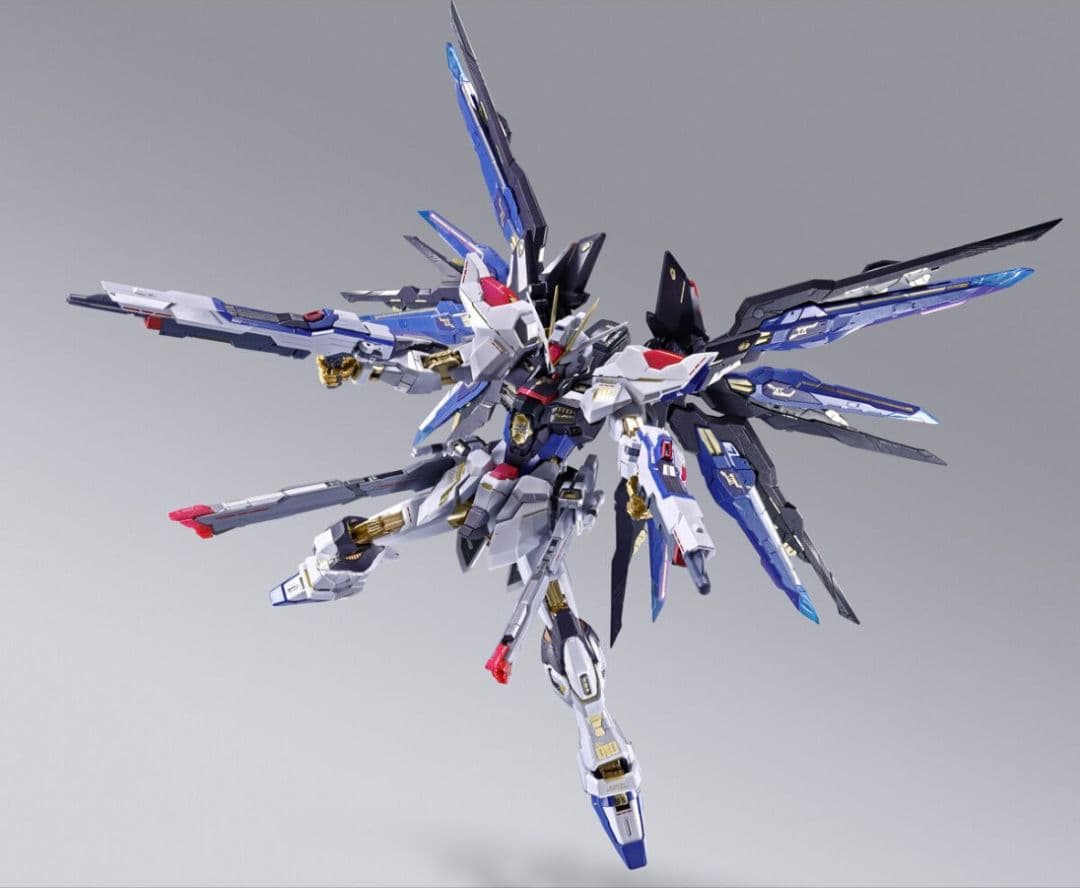 ストライクフリーダ厶 L BUILD FESTIVAL 2024
