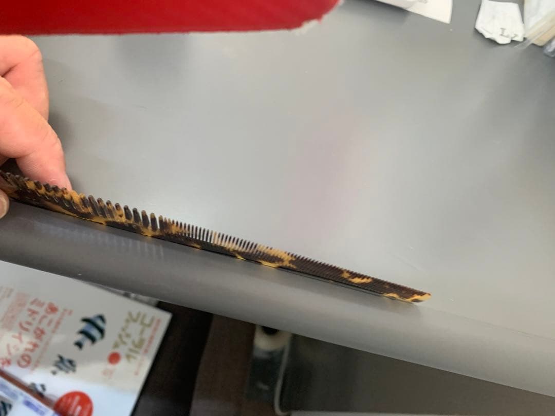 寺本　鼈甲櫛