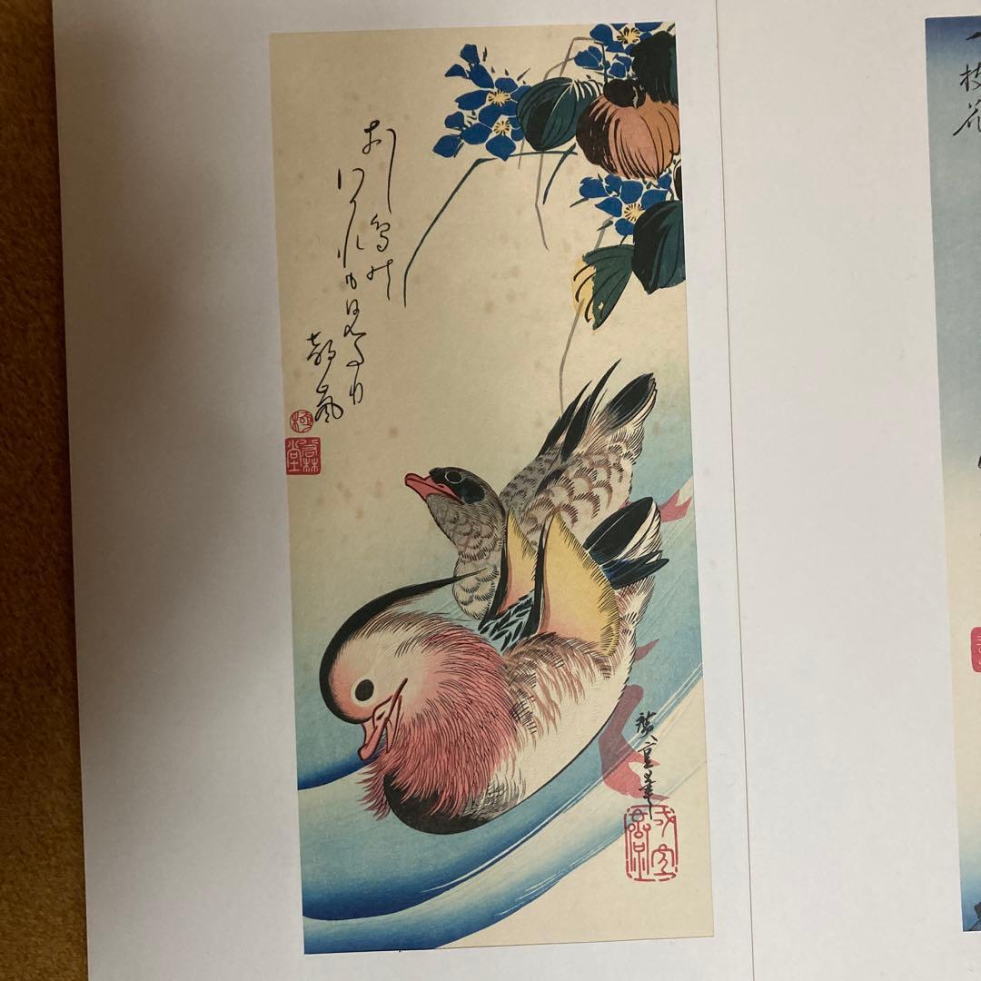 安藤￼広重 「花鳥大短冊選」傑作集 全12点アダチ版画研究所 解説・額縁付き