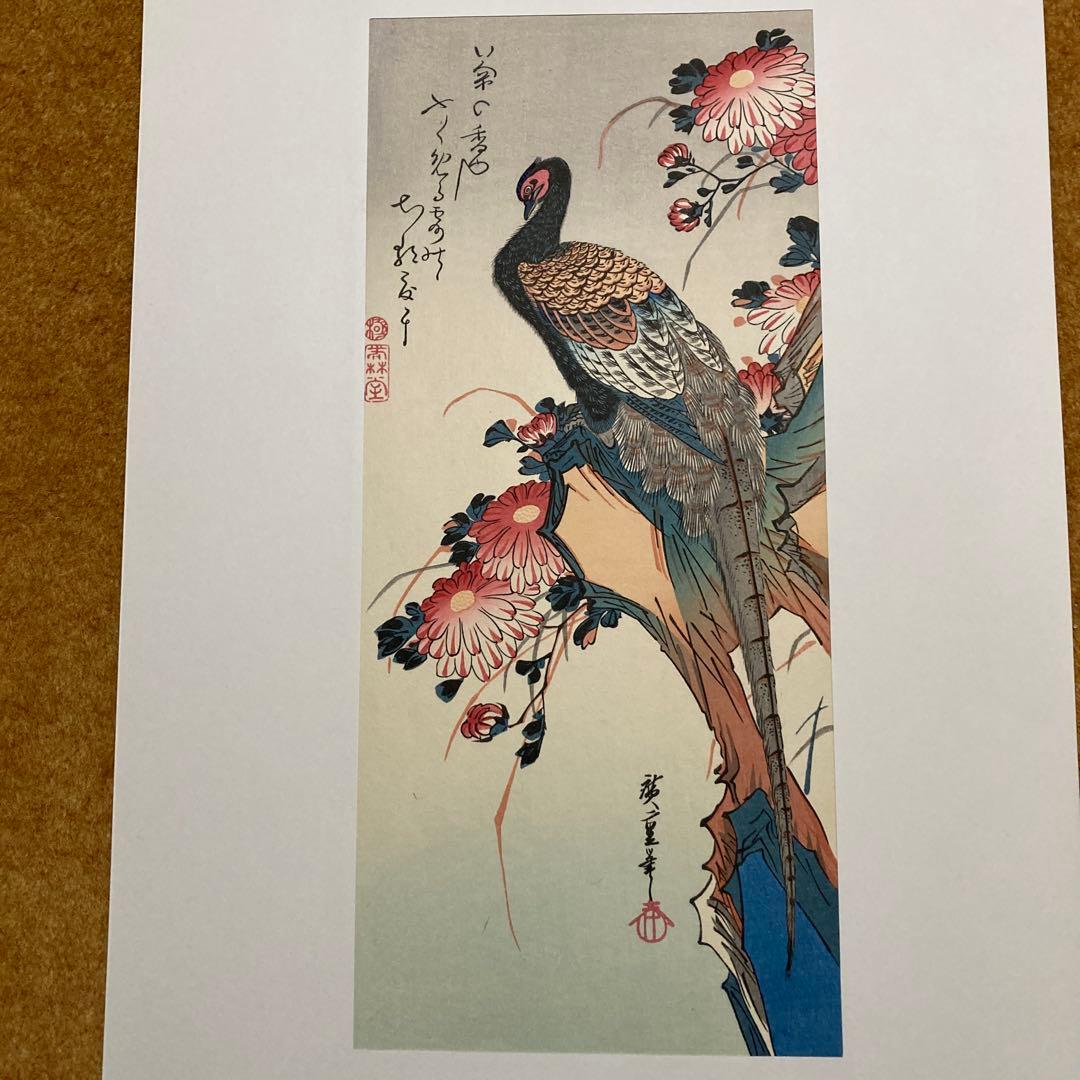 安藤￼広重 「花鳥大短冊選」傑作集 全12点アダチ版画研究所 解説・額縁付き