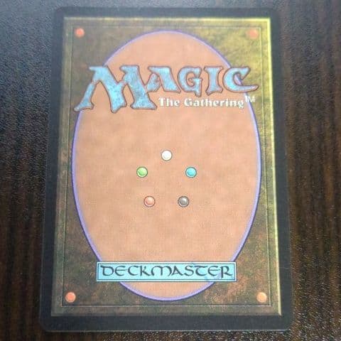 MTG　GuruLand（グルランド）　Plains　１枚