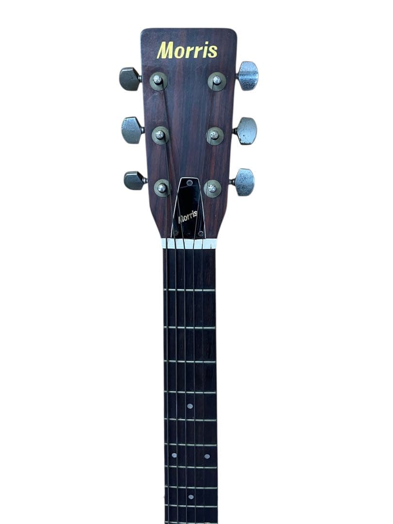 Morris W-18 アコースティックギター