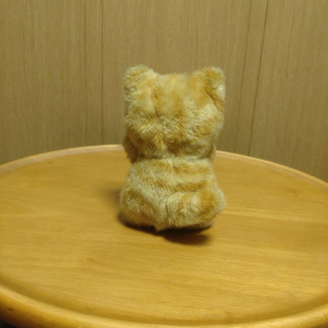 子猫物語　チャトラ