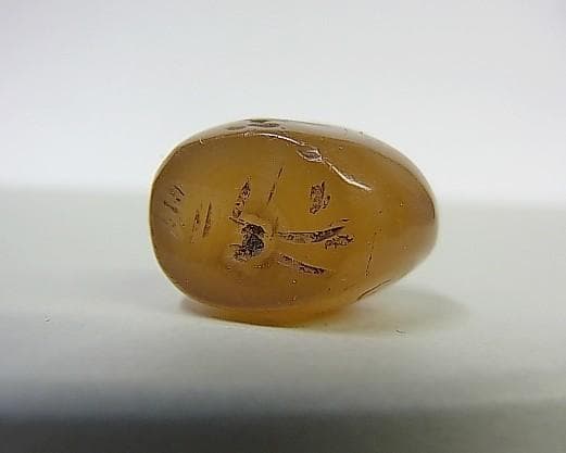★B1205★古代石 (260) 美品　西アジア　印章石　茶瑪瑙　羽虫　スタンプ