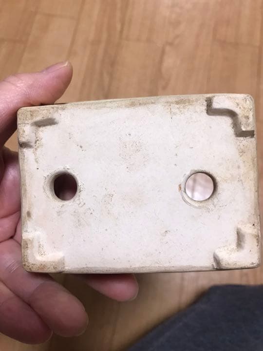 美豊　日本小品盆栽名品展出品記念ミニ盆栽鉢青竹絵付け他貫入白長方ミニ鉢白鉢セット