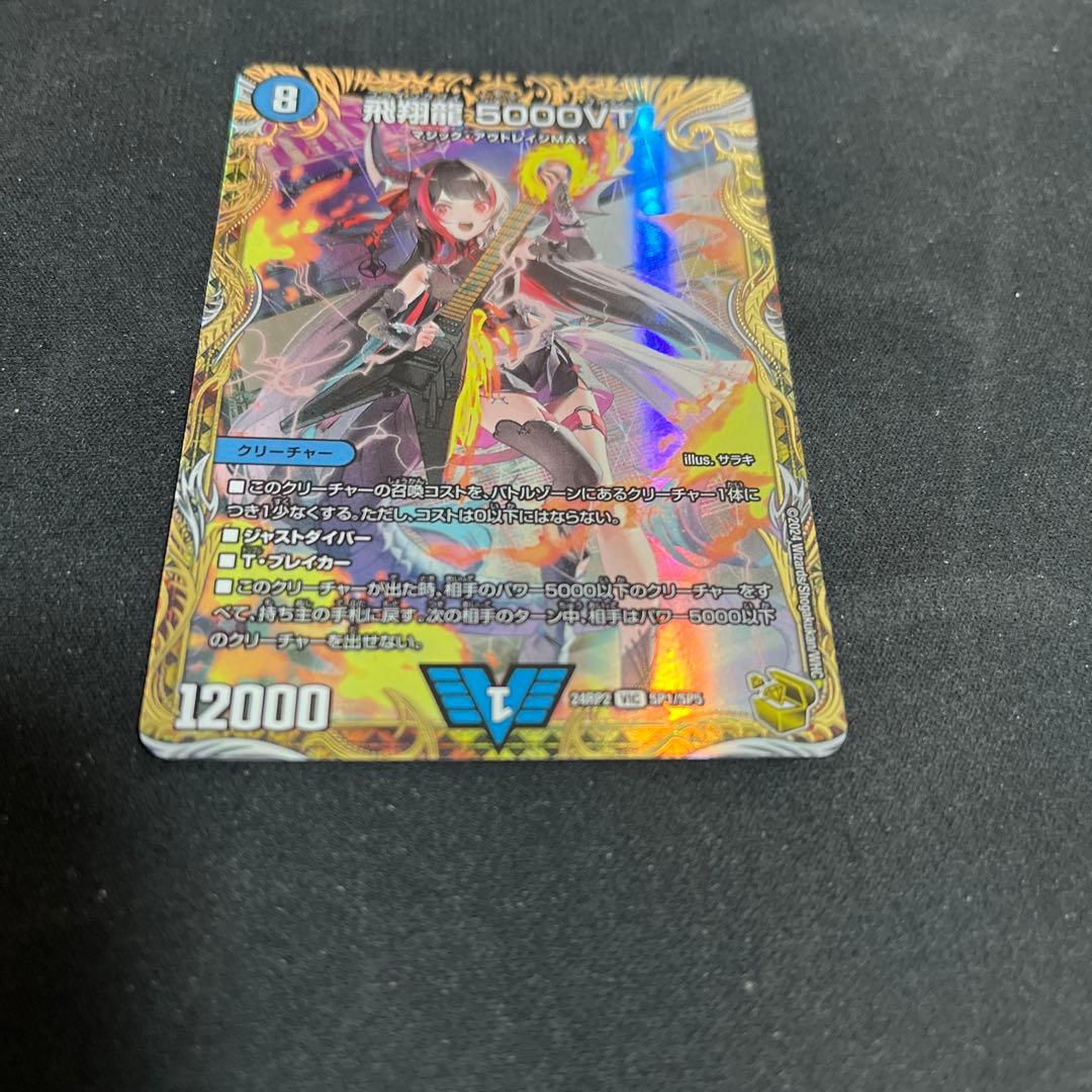 金トレ 飛翔龍5000VT