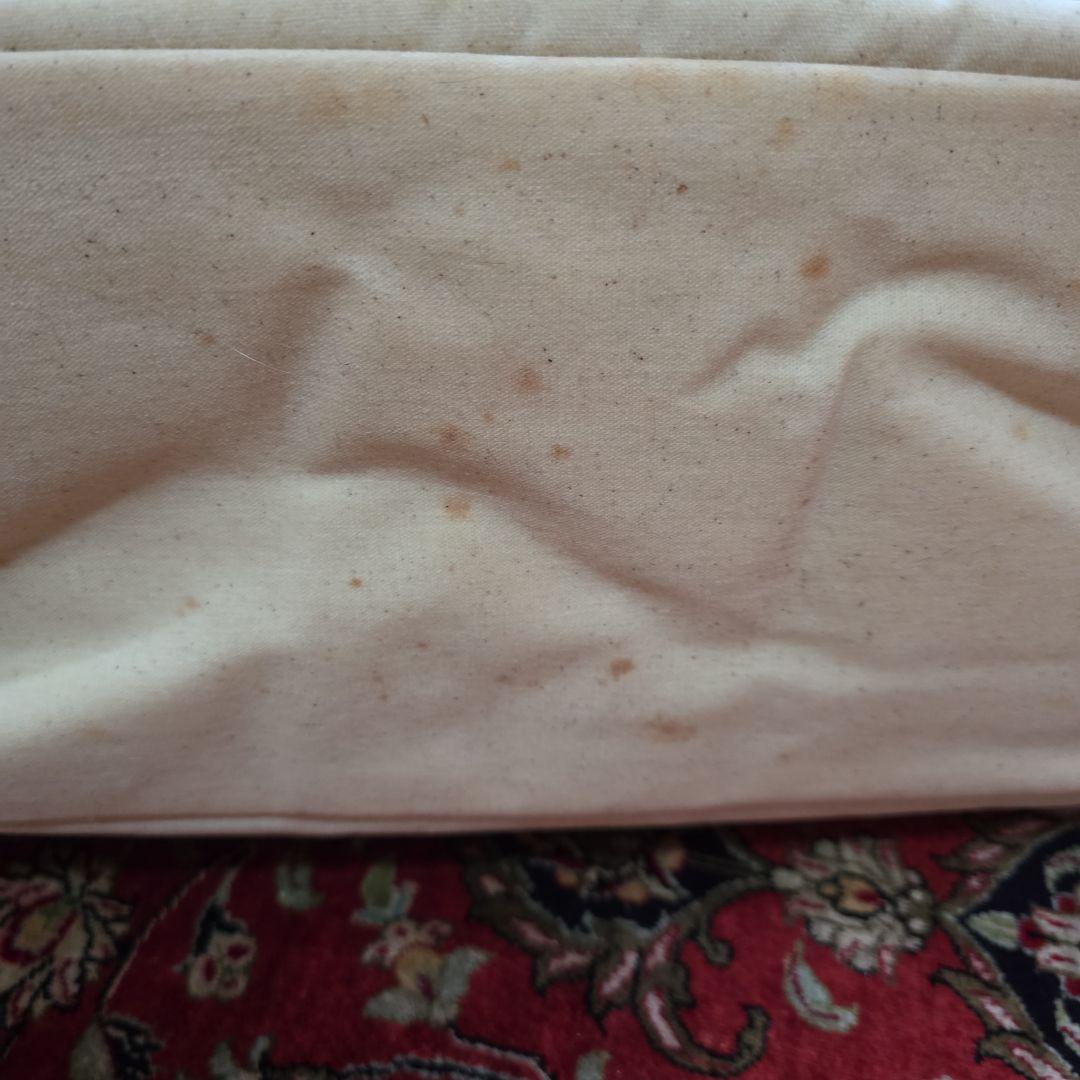 ✨希少✨LA発Louisdog高級ペットキャリーバッグ ファー取り外し可軽量通気