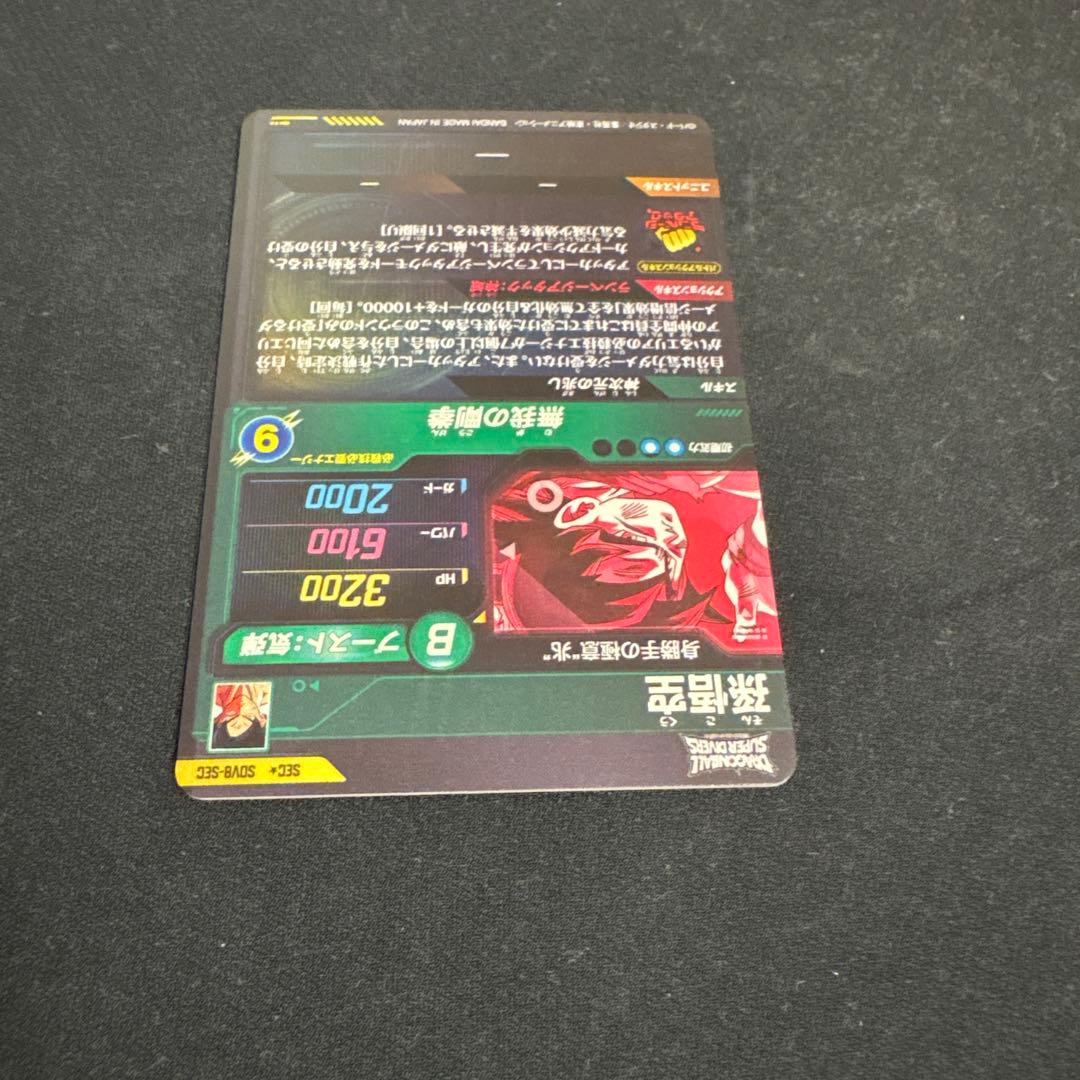 SOVB-SEC 孫悟空　パラレル　身勝手の極意