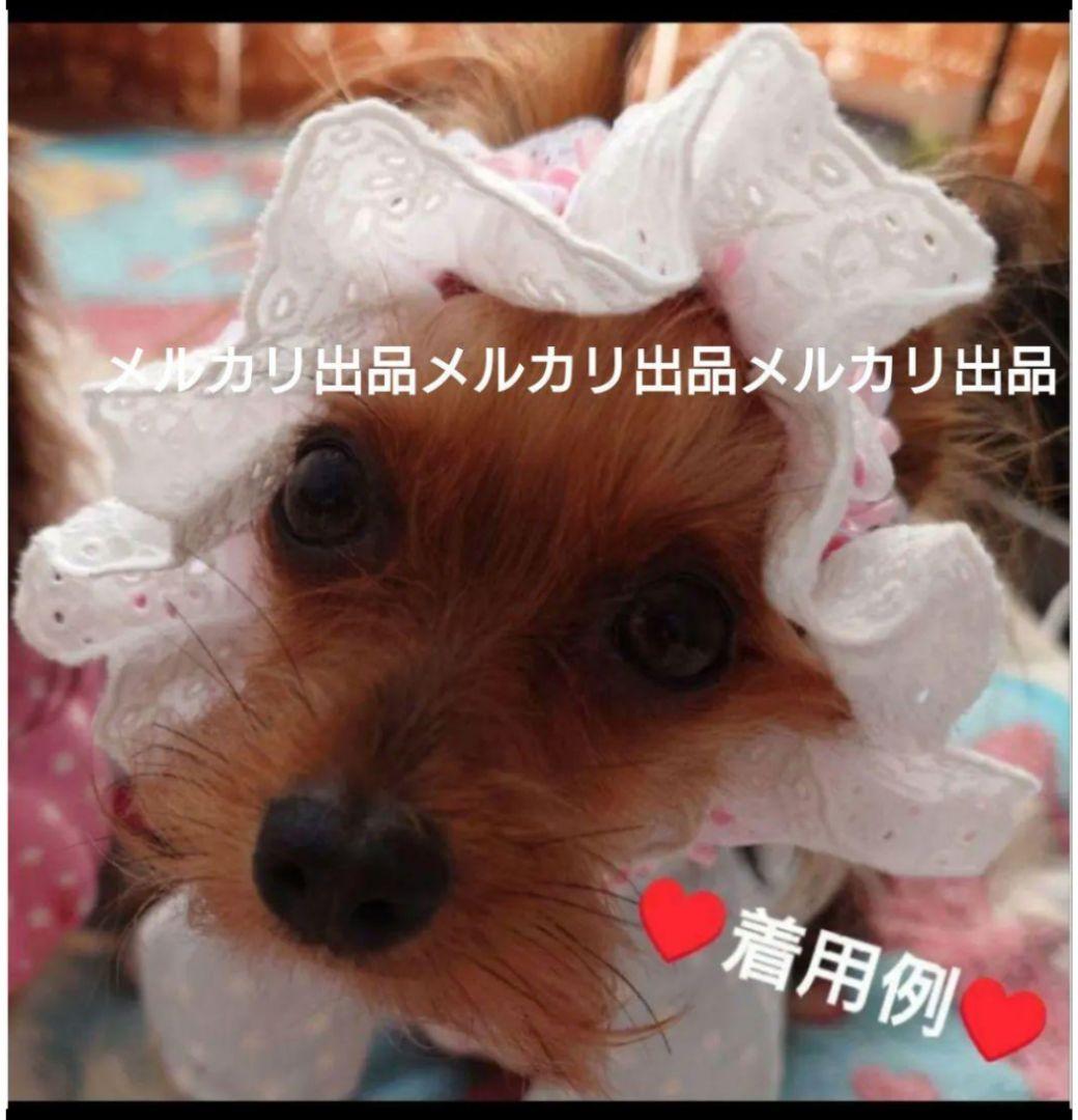 J＆Kanimals　限定ワンピース　ホワイトシュガーちゃんワンピース　廃盤品