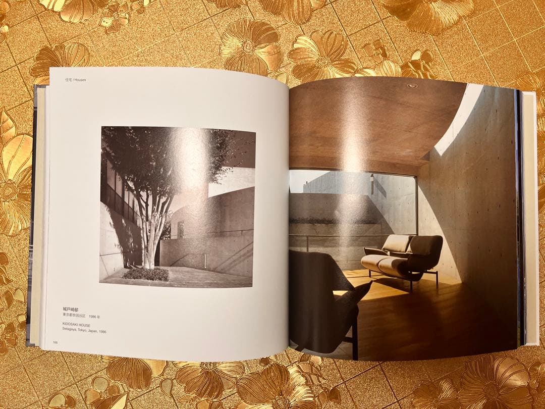 安藤忠雄　TADAO ANDO YOUTH サイン入り