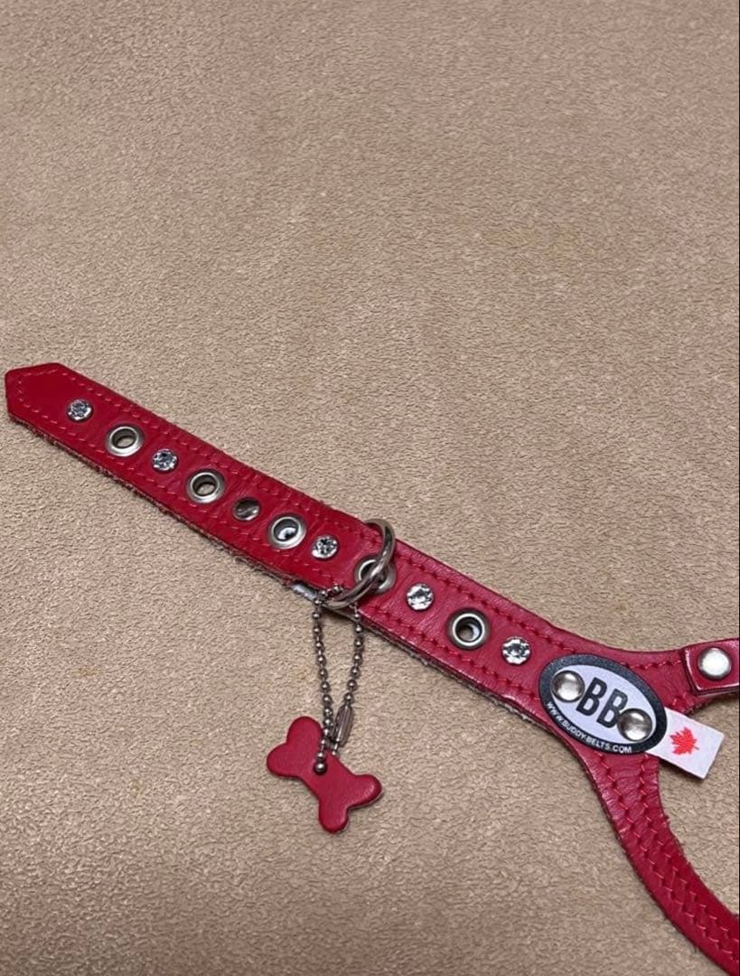 BUDDY BELT 3.5 レッド ラインストーン付き