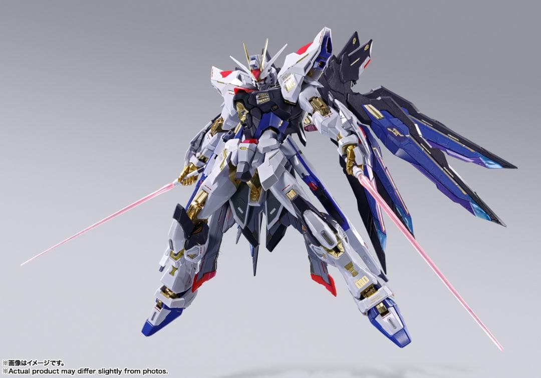 未開封 ストライクフリーダム L BUILD FESTIVAL 2024