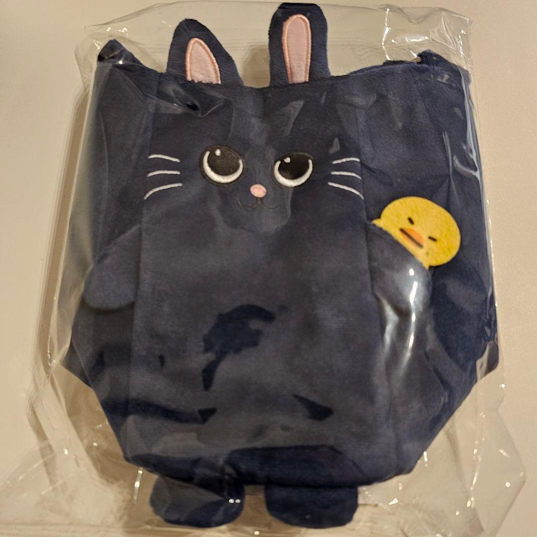 RIIZE ウォンビン FANLIGHTバッグ POPUP 6000円特典トレカ