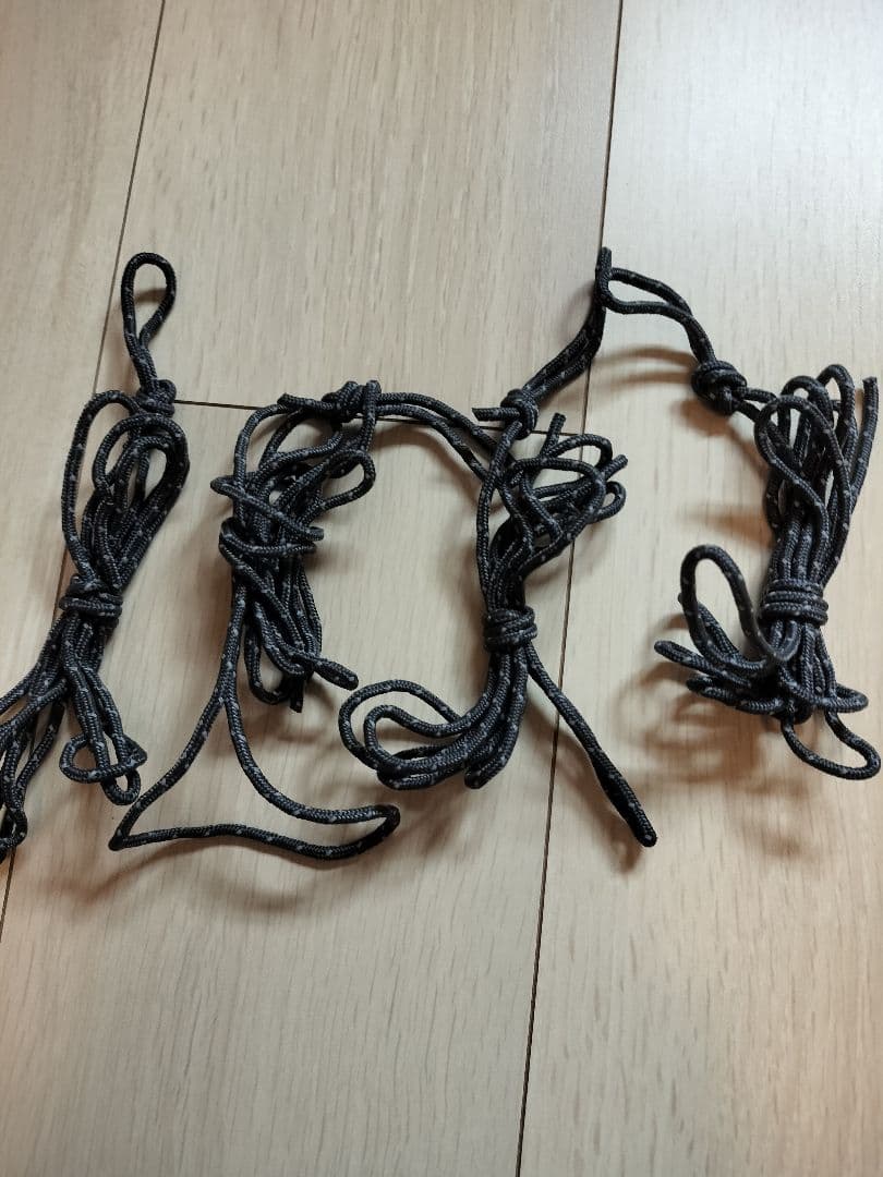 最終値下げ　NEMO ニーモ　DAGGER OSMO 2P テント