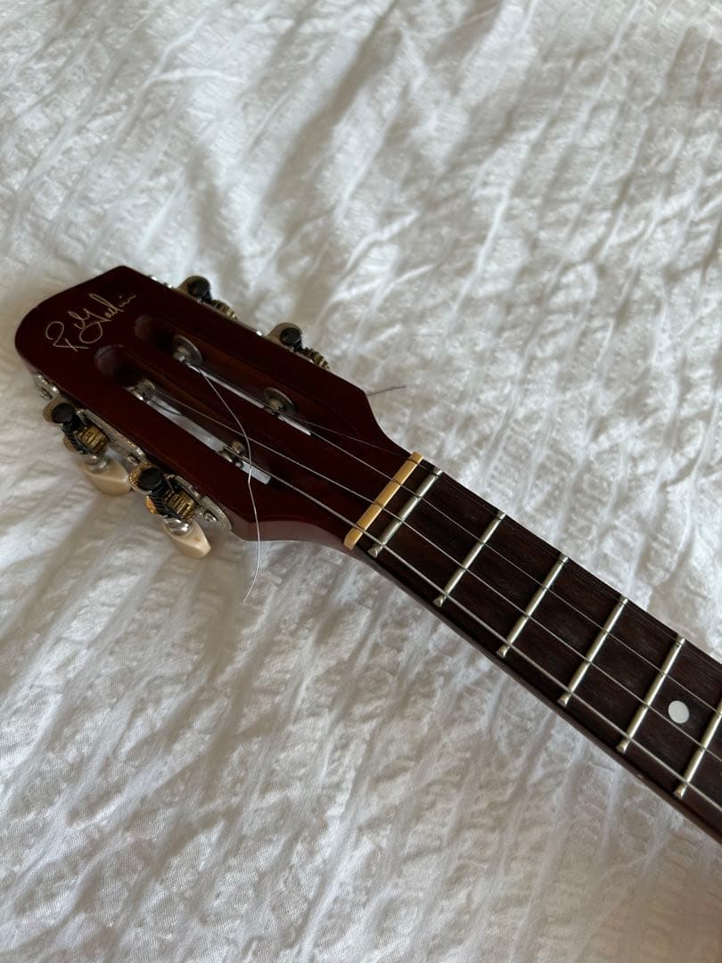 【希少】Godin Cavaquinho