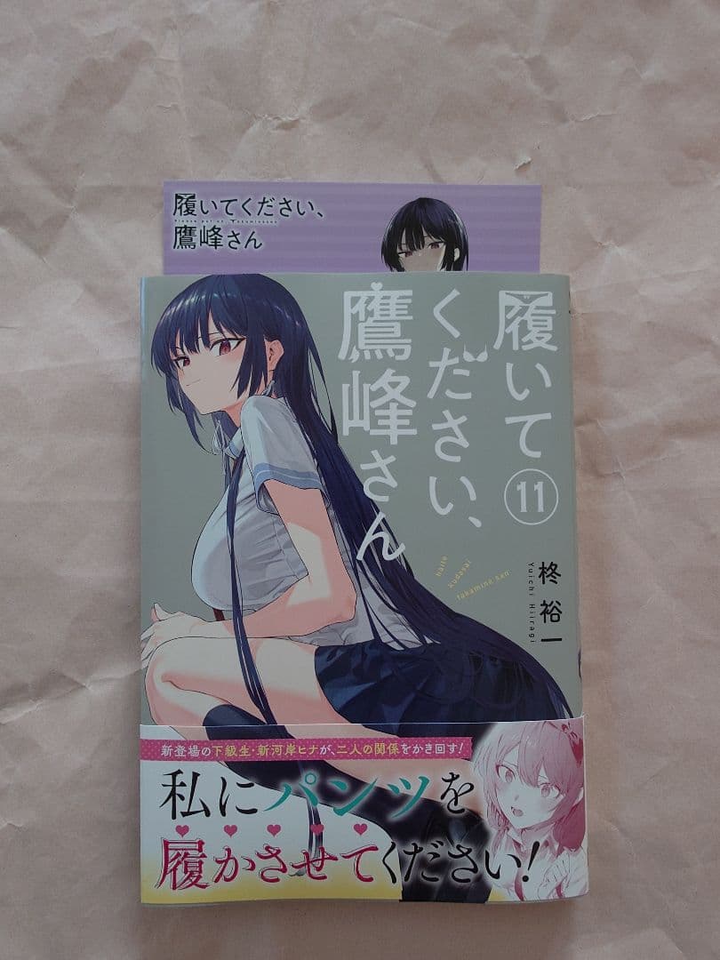 履いてください、鷹峰さん1〜10巻　特典クリアファイル＆イラストカード＆ポスター