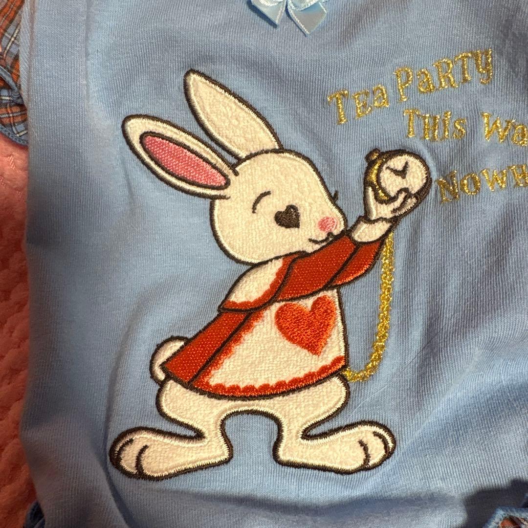 bul bu-bu ブルブブ　アリス　ウサギ刺繍の犬服 水色 チェックフリル