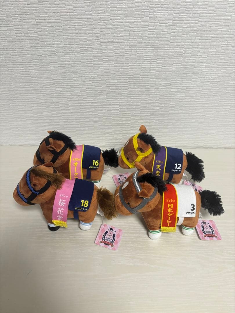 【サージカル新子】サラコレおまとめ8点