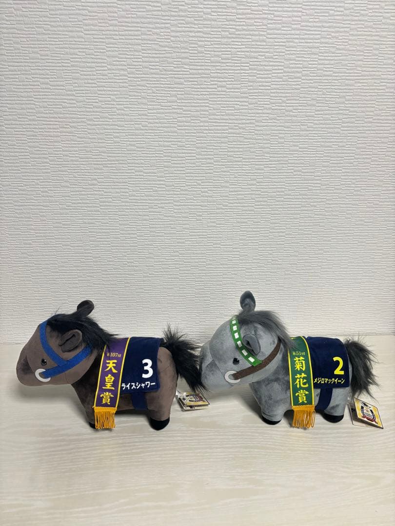 【サージカル新子】サラコレおまとめ8点
