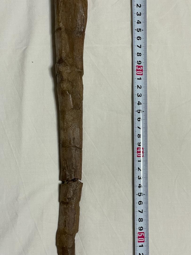 化石　恐竜ハドロサウルス科の肋骨　実物　産地・種類不明　64㎝