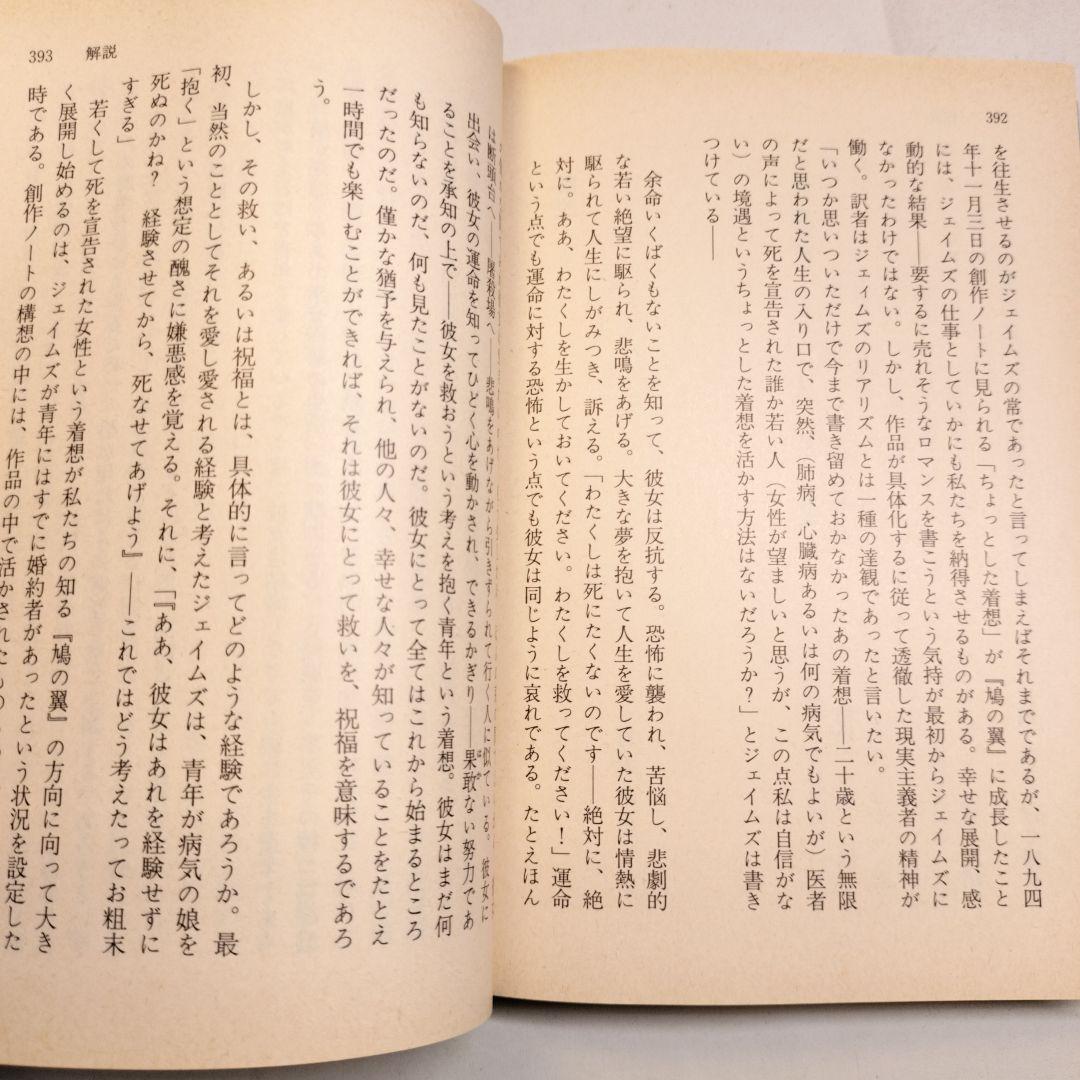 鳩の翼 上下 講談社文芸文庫