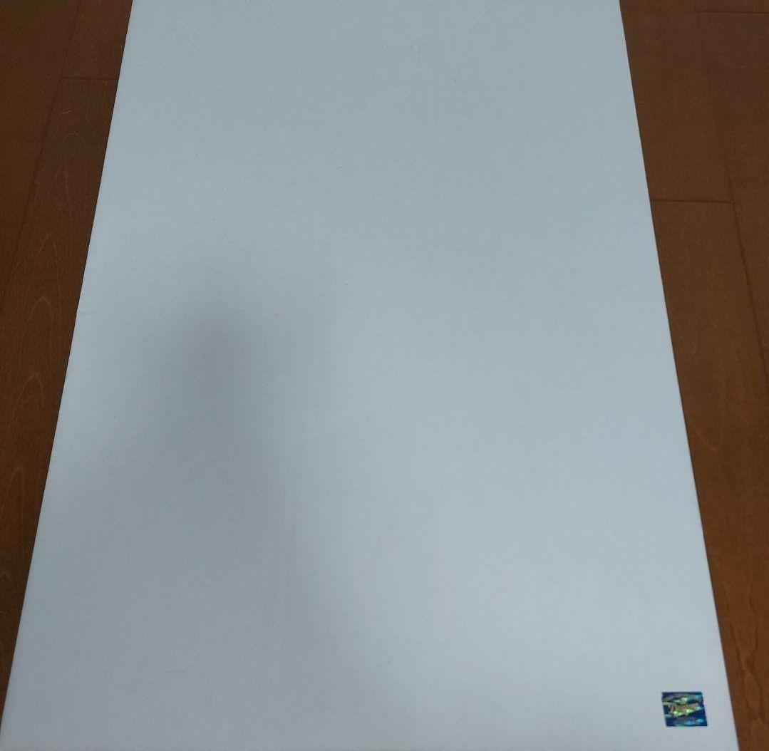 ビシエド 100号ホームラン記念直筆サイン入りフォトパネル 中日ドラゴンズ