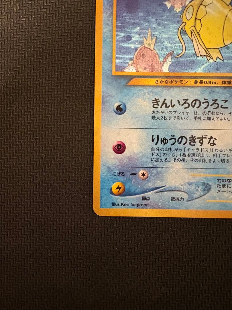 ひかるコイキング　旧裏②