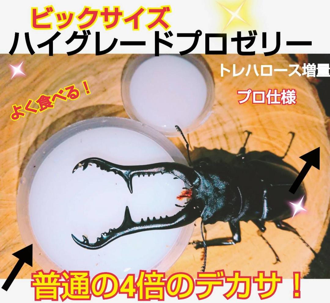 ビッグサイズ！ハイグレードプロゼリー☆200個　普通の4倍以上のデカサ！プロ仕様