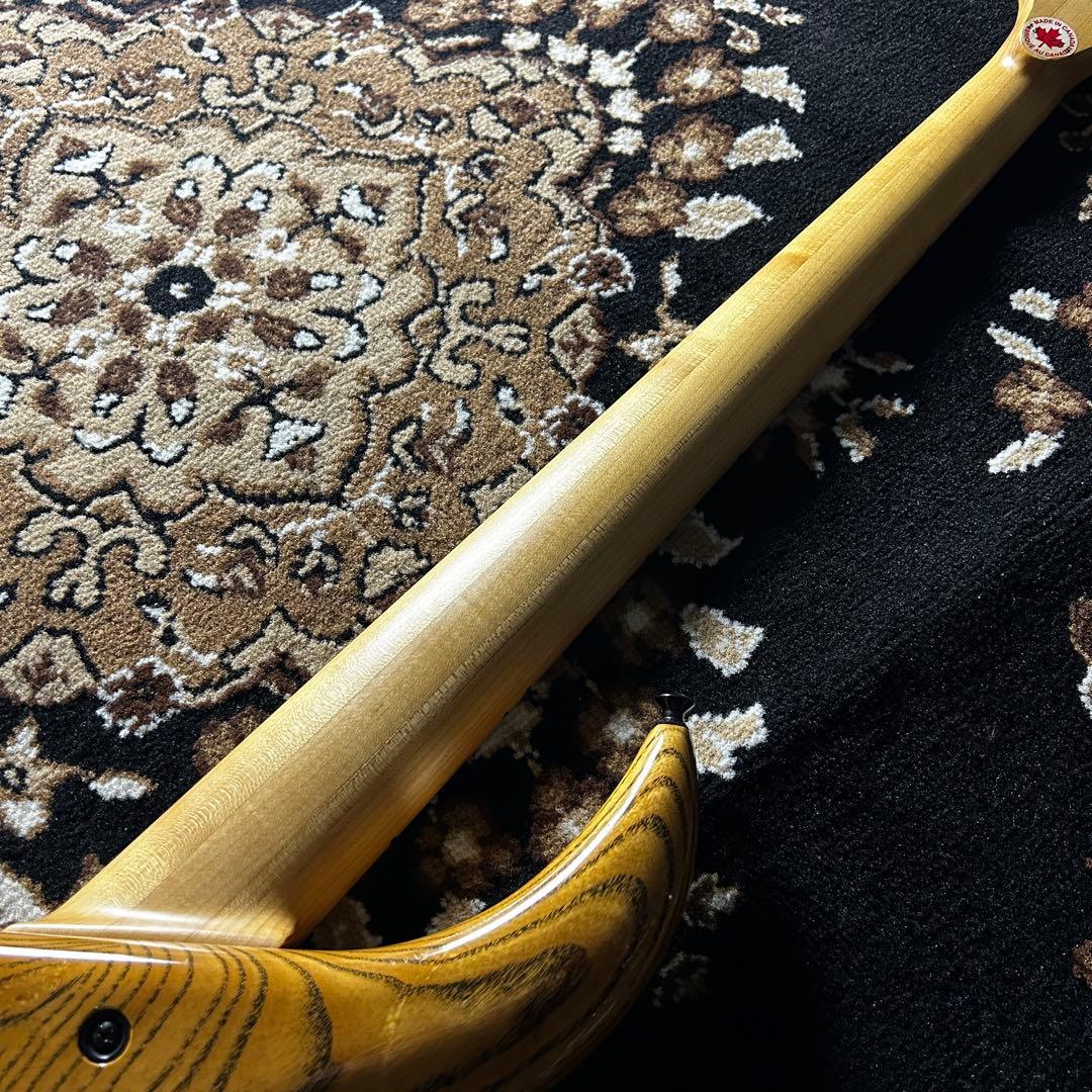 ベース F bass BN-5 buckeye burl