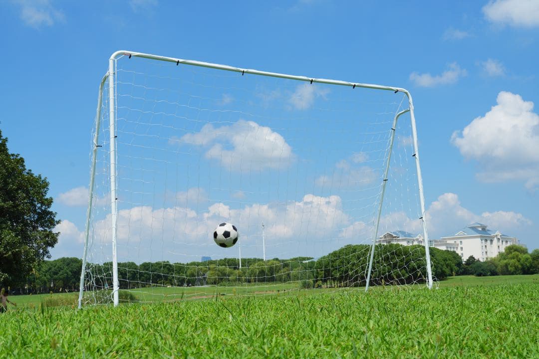 期限セール フットサルゴール  室内外兼用 公式サイズ キャリーバッグ付き