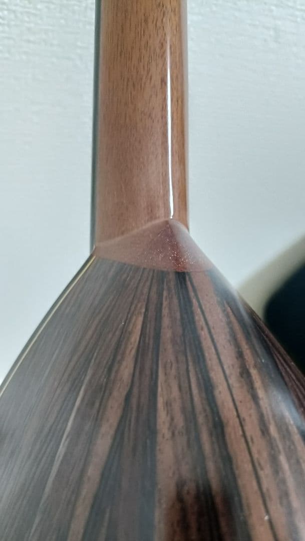 マンドリン 藤丸常夫 美品 No.80B