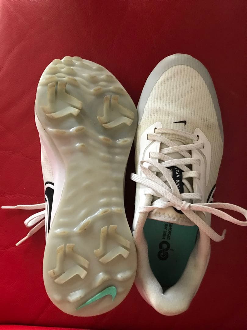 Nike ゴルフシューズ