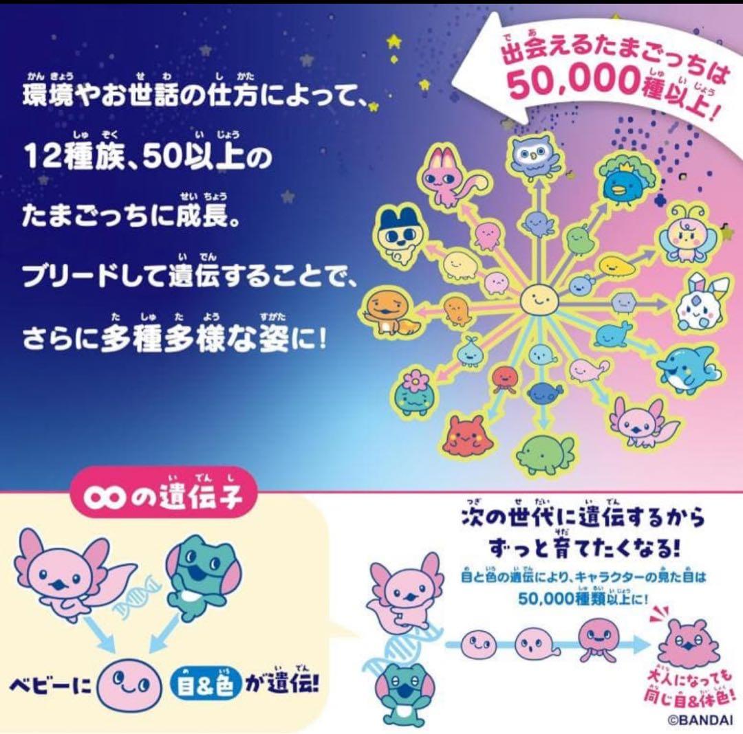 たまごっちパラダイス 竹下ぱらだいす＆しなこスペシャルセット