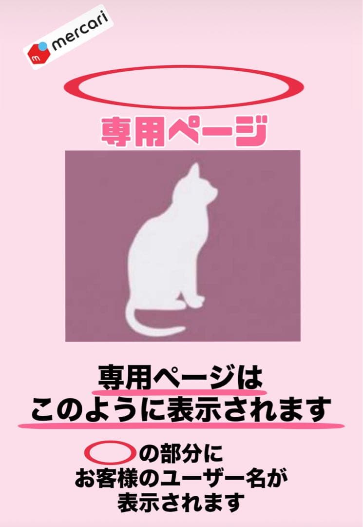 ニュートロ　シュプレモ　成猫用（チキン&サーモン）3kgパック×２袋