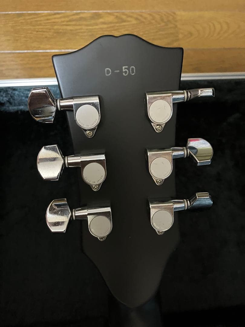 パニはげ ESP INORAN ILP-00 DRAGON