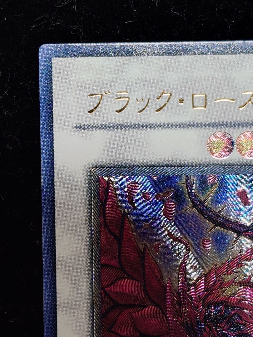 ブラック・ローズ・ドラゴン ブラックローズドラゴン レリーフ