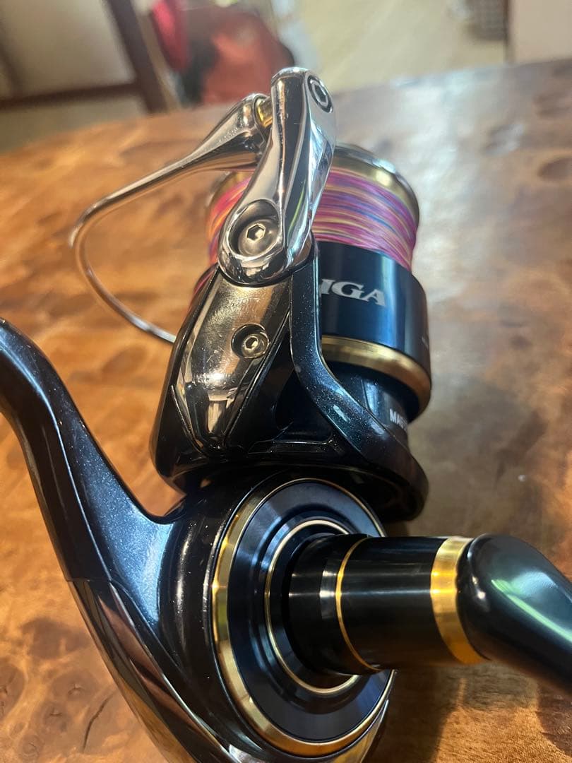 DAIWA SALTIGA ダイワ20ソルティガ8000 H