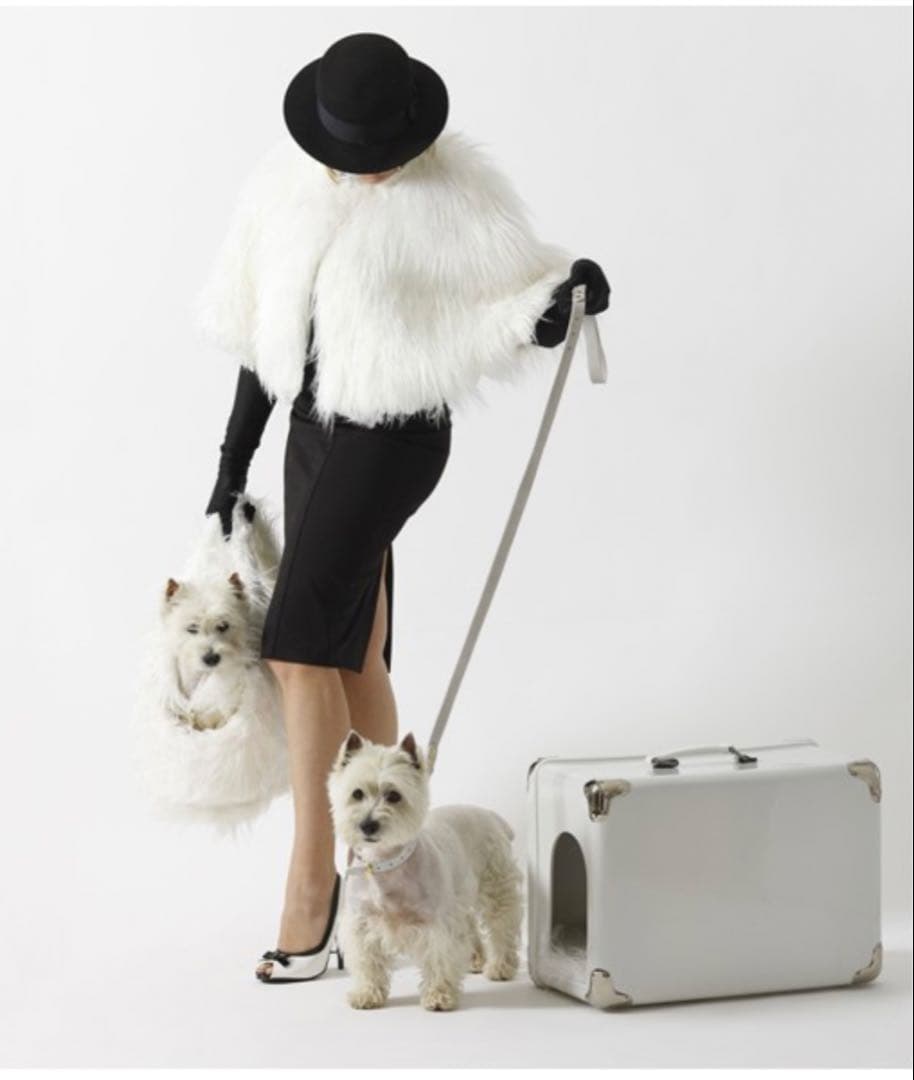 最終！Bosa ⭐︎トラベルドックハウス小型犬用