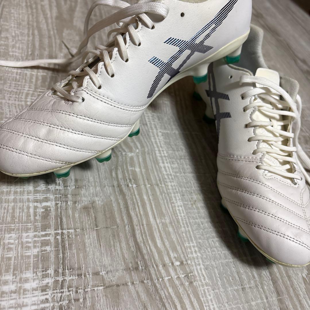 アシックス　DS LIGHT X-FLY PRO 25.0cm