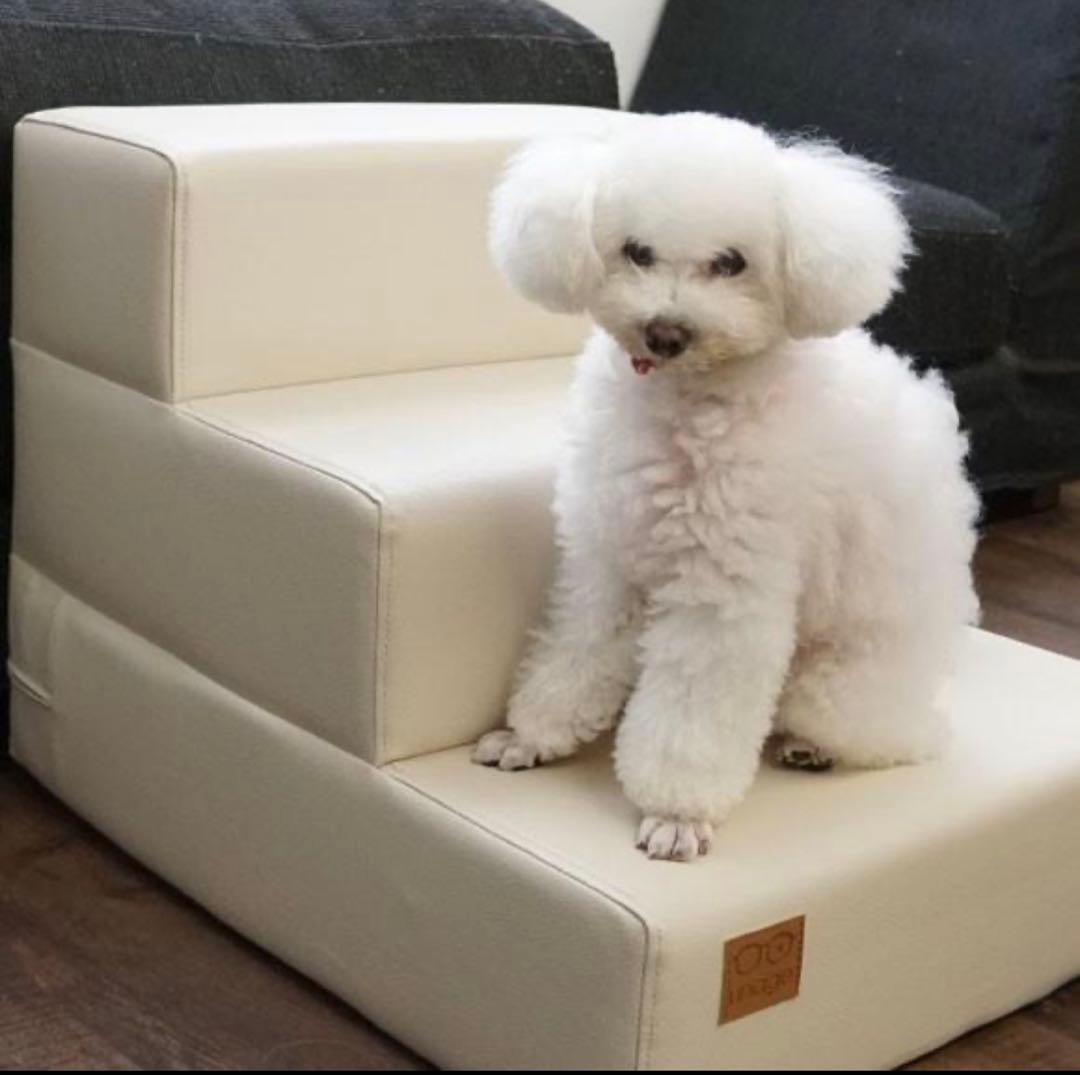 【IDOG&ICAT】 iDog Living アイステップレザータイプ 3段