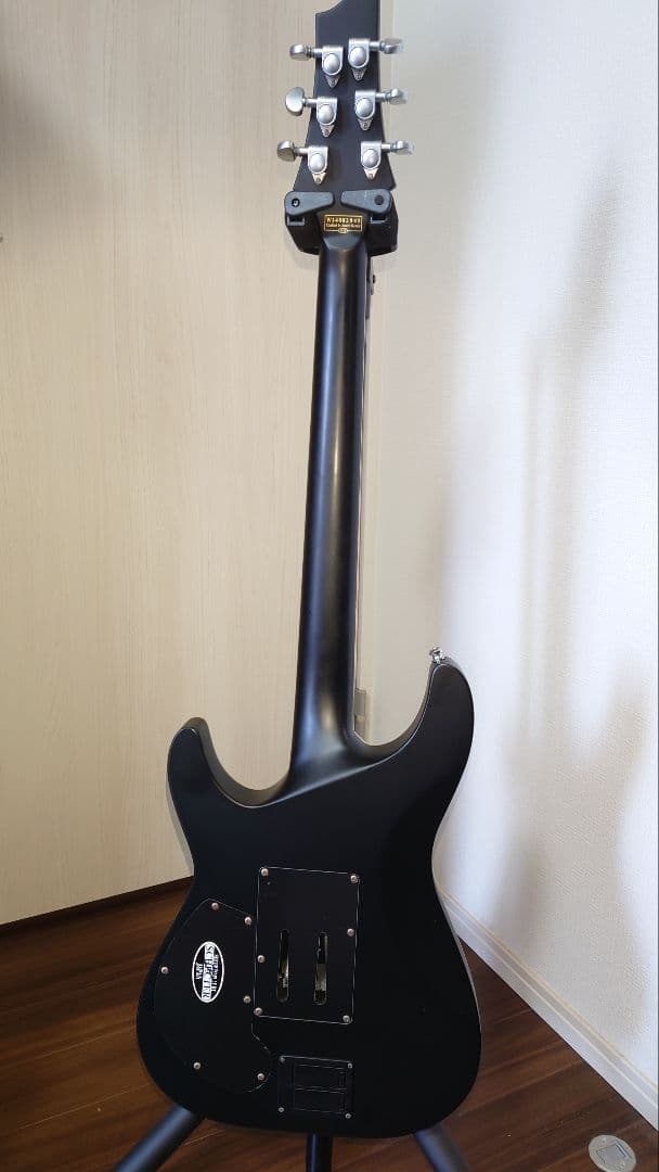 SCHECTER　DAMIEN PLATINUM-6FR-S