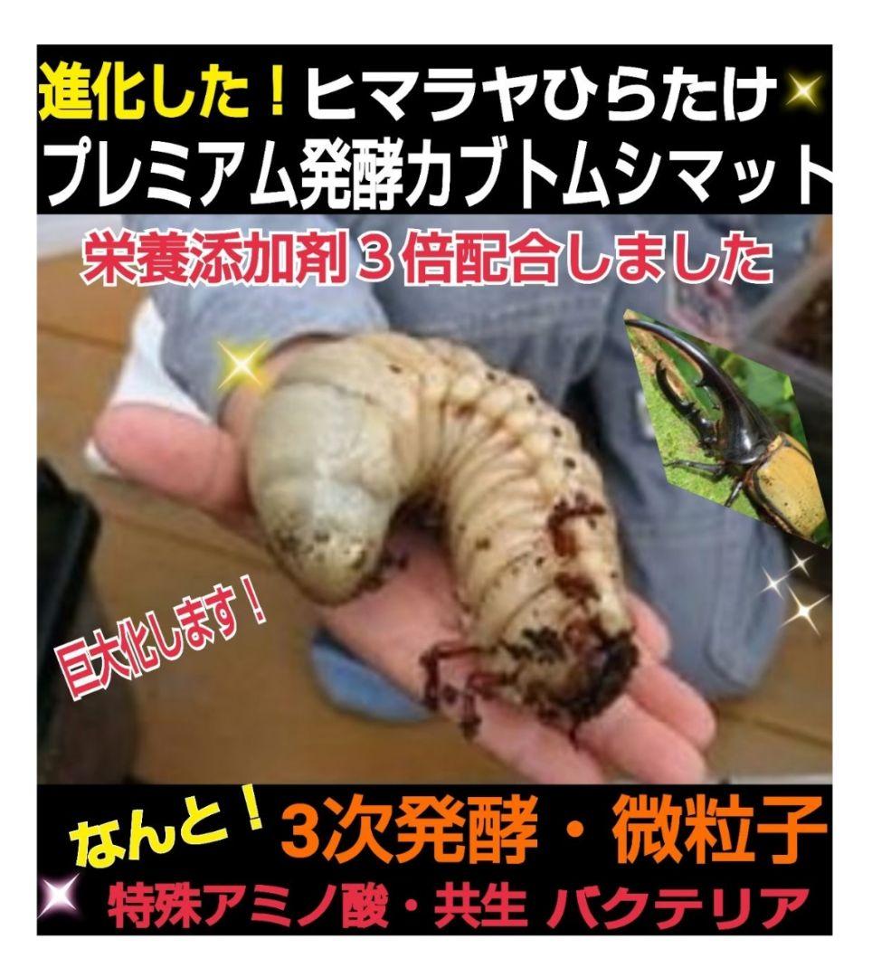 ヘラクレスが巨大化！極上☆プレミアム3次発酵マット【50L】特殊アミノ酸強化配合