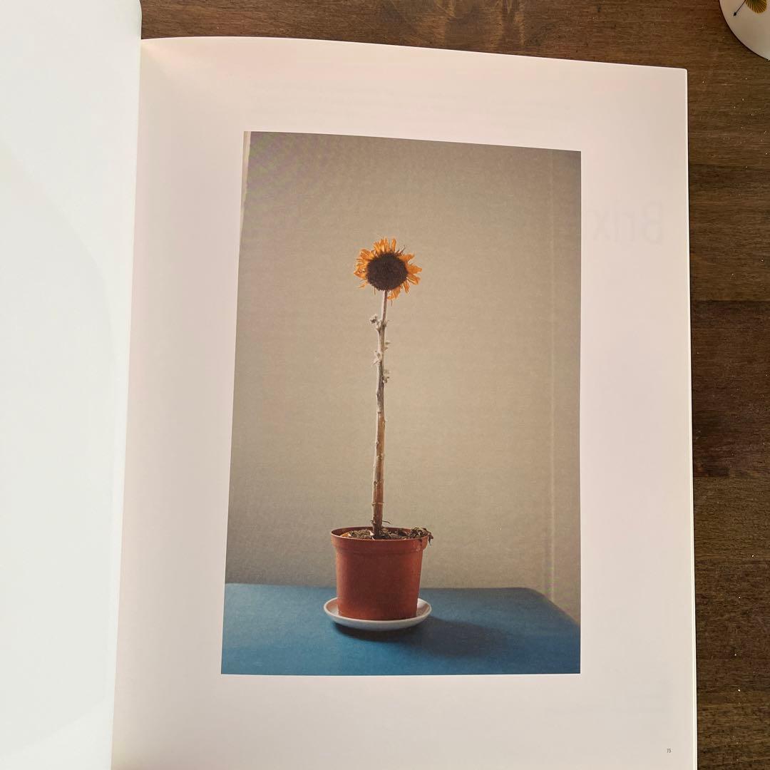 Jitka Hanzlova 写真集