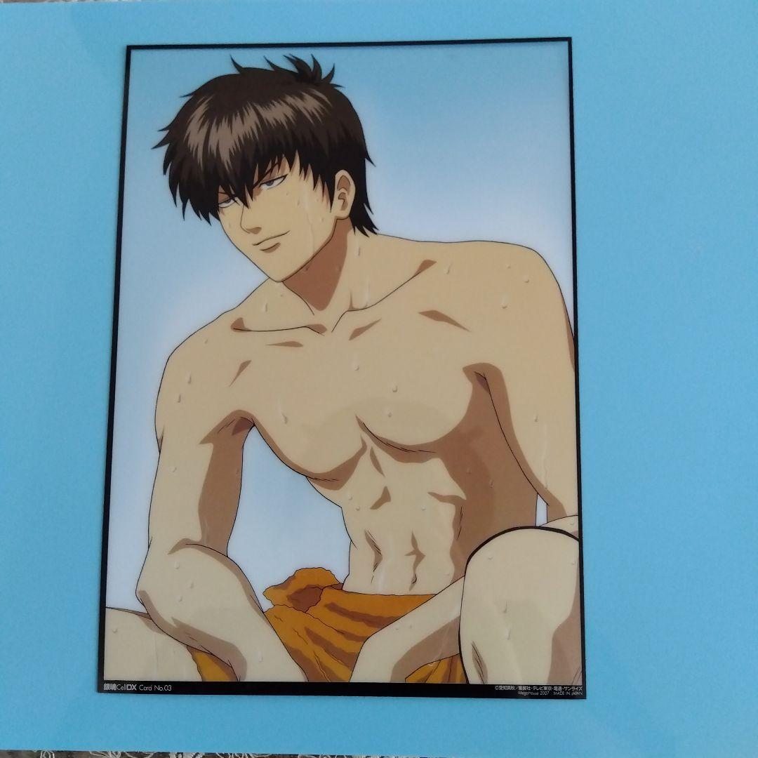 銀魂　土方十四郎　PHOTO　COLLECTION　Cell　DX