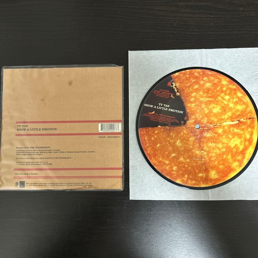 The Wildhearts レコードコレクション